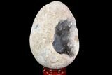 Crystal Filled Celestine (Celestite) Egg Geode #88304-2